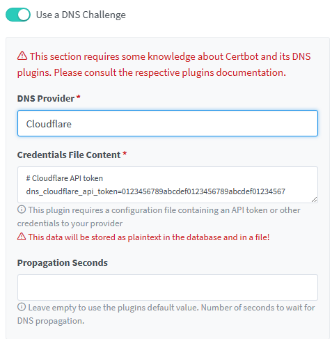 dns challenge