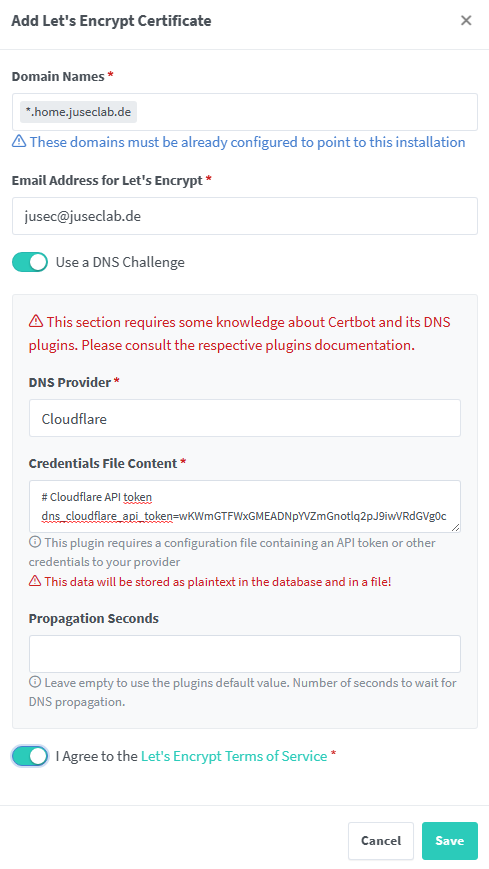 dns challenge setup